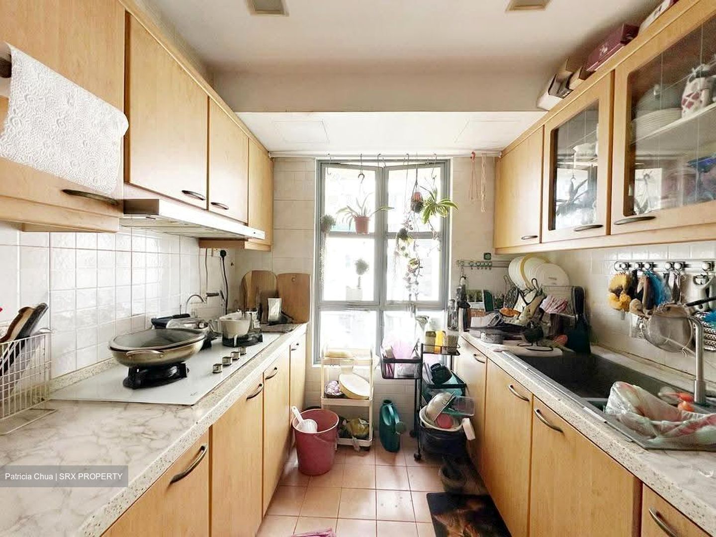 Aquarius By The Park (D16), Condominium #612936191